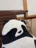 礼意久久熊猫按摩抱枕玩偶公仔老婆女友闺蜜女生生日礼物女士实用高级小众 【豪华礼盒款】会按摩的熊猫 走心高端结婚纪念日纪念意义 实拍图