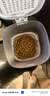 霍曼（Homerun）Real智能自动喂食器猫粮定时猫猫咪自动投食机PF20（不锈钢碗） 实拍图