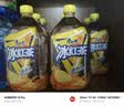 康师傅 冰红茶1L*12瓶 柠檬红茶饮料饮品大瓶畅饮装整箱 热门商品 实拍图