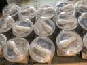 卡士（CLASSY.KISS）全程冷链 3.3g原味鲜酪乳100g*18杯  低温酸奶 源头直发 实拍图