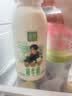 伊利金典鲜牛奶 3.8g乳蛋白235ml*4瓶 分享装巴氏杀菌 儿童早餐 实拍图