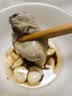 一虾一世界鲜活乳山生蚝带壳/现剥速冻去壳生蚝肉 新鲜牡蛎海蛎子 火锅烧烤 去壳生蚝肉3斤【250g*6盒】 实拍图