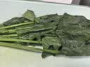 大菠菜300g 实拍图
