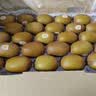 佳沛（zespri）金奇异果25-27粒原箱特大果124-146g猕猴桃水果礼盒 实拍图