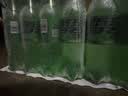 可口可乐（Coca-Cola）雪碧  无糖零卡柠檬味  汽水 碳酸饮料 500ml*12瓶 实拍图
