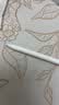 Apple/苹果 Pencil(USB-C) 磁吸触控笔手写笔苹果笔电容笔iPad笔 适用iPad(A16)/mini/Pro/Air 实拍图