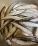 海赋国产 满籽多春鱼净重3斤 大号满籽 烧烤煎炸食材-源头直发 实拍图