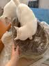 疯狂的主人猫抓板窝碗形特大号猫抓盆不掉屑猫窝宠物猫玩具瓦楞纸猫爪板椭圆 实拍图