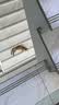 台派猫粮室内英短美短蓝猫营养均衡成猫专用全价猫主粮2.5kg 实拍图