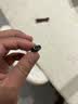毕亚兹 安卓苹果转接头转换器线 type-c转lightning充电数据 支持iPhone14Pro/新SE/12/XR/8Plus/7/6s  实拍图