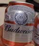百威mini红罐淡色拉格255ml*12罐整箱装京东自营国庆出行 实拍图