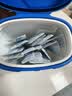 麦德氏IN 高钙0乳糖绵羊奶粉300g*2补充乳铁蛋白幼犬幼猫羊奶粉 实拍图