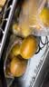 佳沛（zespri）新西兰金奇异果30-33粒原箱103-124g猕猴桃水果礼盒 实拍图