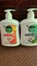 滴露（Dettol）洗手液松木500g瓶 健康抑菌消毒非补充装 儿童家庭用清爽去油 实拍图