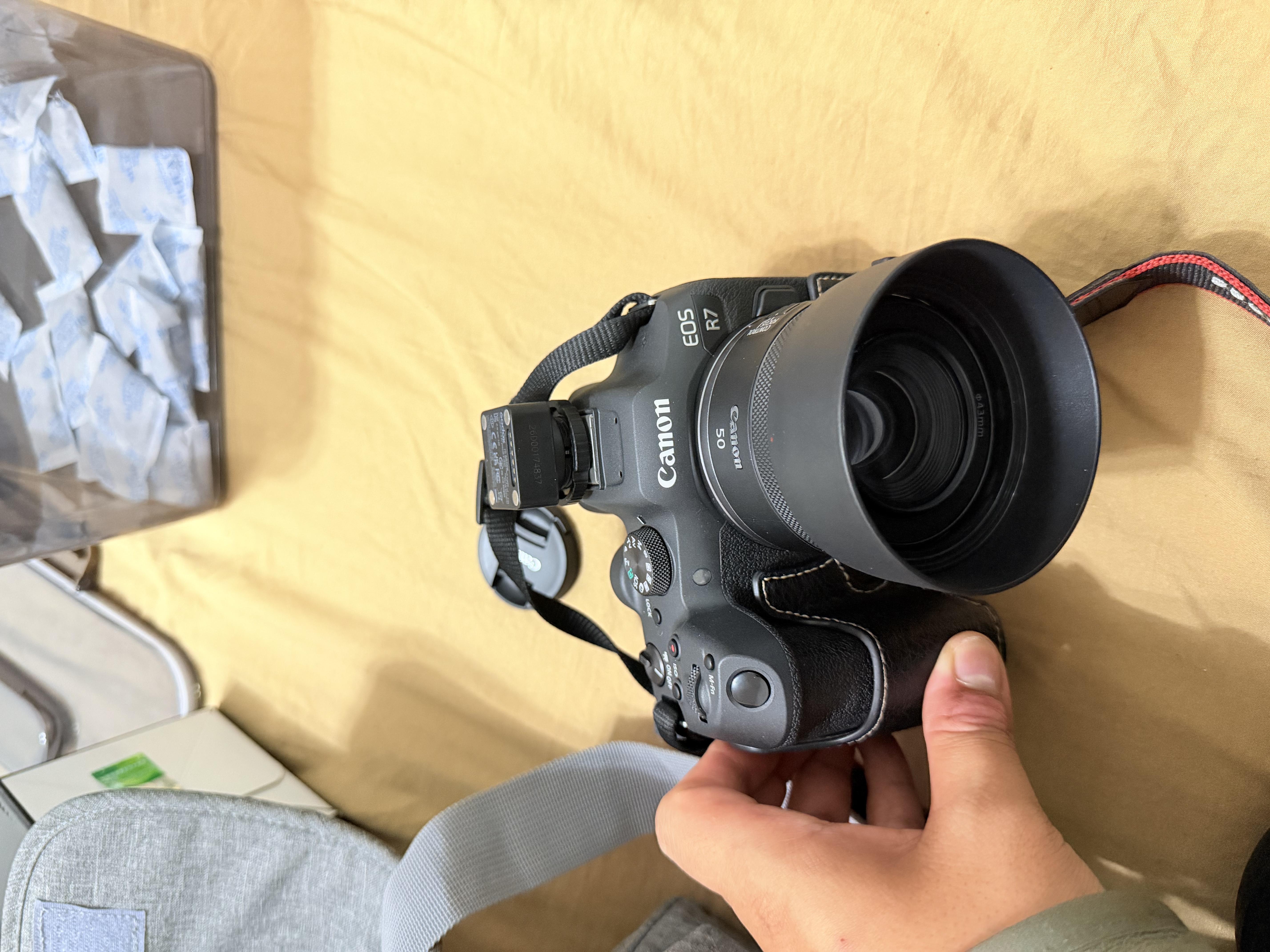 佳能（Canon）RF50F1.8人像大光圈定焦镜头 佳能501.8 小痰盂RF镜头 微单相机 实拍图