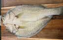 仙泉湖三去白蕉海鲈鱼1斤/条净膛刺少肉厚珠海特产500g海鲜水产生鲜食材 实拍图