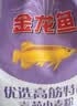 金龙鱼 面粉 高筋粉 优选高筋特精麦芯小麦粉 10斤 包子饺子馒头饼 实拍图