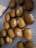 佳沛（zespri）新西兰金奇异果18粒优选果103-124g猕猴桃水果礼盒 实拍图