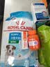 皇家狗粮 幼犬狗粮 宠物 小型犬 MIJ31 全价犬粮 2-10月 2KG 实拍图