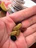 百草味四色葡萄干430g罐装新疆吐鲁番特产原料免洗大果干蜜饯零食 实拍图