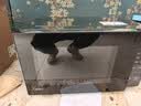 美的（Midea）家用一级能效变频微波炉800W速热省电 12项智能菜单 钻石背板易洁PM20M3 实拍图
