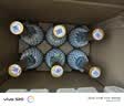 汾酒 黄盖玻汾 清香型白酒 53度 475mL*6瓶整箱 年份随机 实拍图