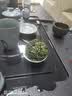 惠聚春秋参赛铁观音特级新茶高山清香乌龙茶兰花香500g茶叶礼盒送礼长辈 实拍图