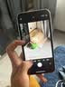 Apple/苹果 苹果 iPhone 17/16/15/14/13/12/11/X系列二手手机商品详情见质检报告 苹果 iPhone XR 实拍图