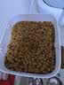 皇家猫粮 成猫猫粮 营养均衡 F32 通用粮 1-7岁 2KG 实拍图