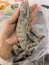 鲜京采 原装进口厄瓜多尔白虾 净重3.3斤 大号30-40规格 50-66只/盒 实拍图