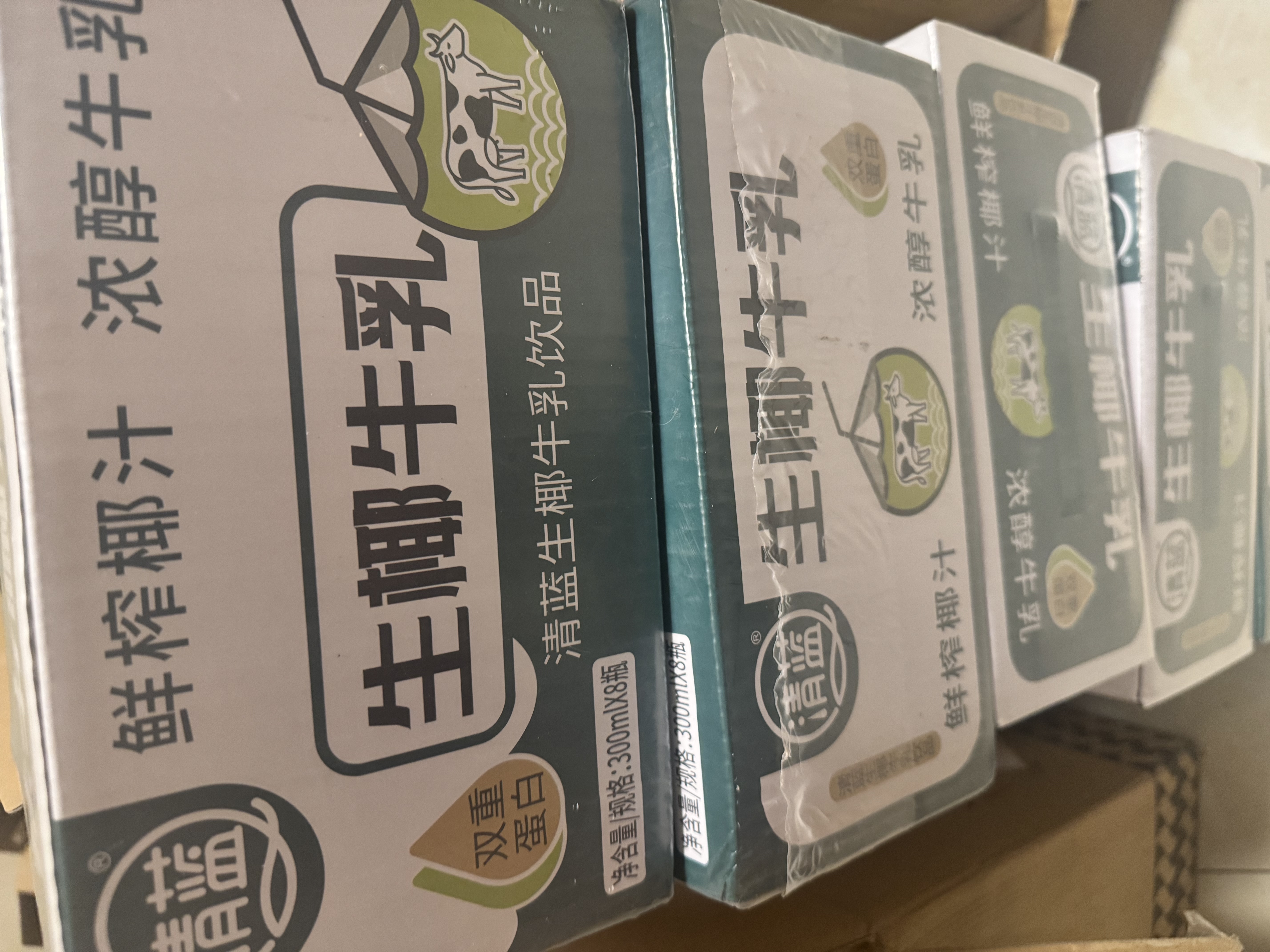 清蓝生椰牛乳300ml*8瓶鲜榨椰汁营养早餐奶动植物蛋白秋冬饮品饮料 实拍图