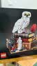 乐高（LEGO）积木哈利波特76466 哈利波特与魔法石男女孩玩具生日礼物赠礼袋 实拍图