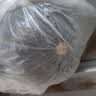 京鲜生 山东贝贝南瓜 净重3斤 单果300g+粉糯蔬菜辅食源头直发 实拍图