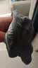 猫人【精梳棉-安心品质】男士内裤男纯棉长效抗菌蚕丝裆男生四角短裤 实拍图