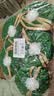 尔木萄（AMORTALS）卷筒式洗脸巾70片5包擦脸巾洁面柔巾家用干湿两用化妆绵加大加厚 实拍图