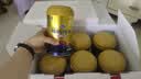 原始黄金新疆骆驼奶粉330g*6罐益生菌无蔗糖驼乳粉高钙儿童成人正品礼盒 实拍图