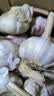 京鲜生河南杞县大蒜带皮新鲜干蒜 净重2斤单果5-5.5cm 源头直发包邮 实拍图