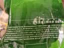 京东京造卤香牛蹄筋180g高蛋白零食卤牛肉筋头巴脑 牛肉筋 实拍图