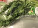 【火锅季】七鲜24小时富硒香芹苗 250g(长度≤40cm) 实拍图