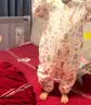 南极人（Nanjiren）婴儿分腿恒温睡袋秋冬中大童防踢被子宝宝家居服竹棉睡衣110码 实拍图