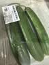 【水果菜】荷兰水果黄瓜约400g 实拍图