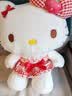 Hello Kitty三丽鸥毛绒玩具玩偶娃娃抱枕摆件生日礼物送女生52cm凯蒂猫公仔 实拍图