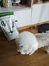 皇家狗粮 成犬狗粮 犬粮 宠物小型犬 PR27 全价犬粮≥10月2KG 实拍图