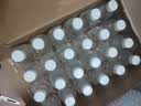 娃哈哈纯净水饮用水596ml*24瓶纸箱装整箱瓶装水 包装随机 实拍图