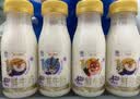 每日鲜语鲜牛奶 A2β-酪蛋白鲜牛奶185ml*6 巴氏杀菌乳 低温鲜奶 实拍图
