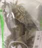 鲜活皮皮虾300g（约10-18只） 实拍图