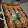 佳沛（zespri）新西兰金奇异果12粒特大果124-146g猕猴桃水果礼盒 实拍图