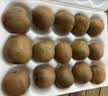 京鲜生陕西徐香绿心猕猴桃 30枚单果70g+  应季新鲜水果 源头直发 包邮 实拍图