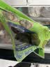 江船长冷冻鲍鱼 净重160g(10-15粒)袋装 火锅食材 海鲜生鲜 实拍图