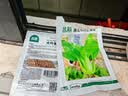 北蔬 小青菜种子苗上海青梗菜油菜种籽 速生605上海青种子50g约2万粒 实拍图